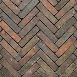 Wienerberger Classica - Gasol 