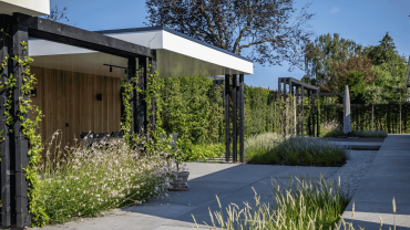 banner blog van verwilderde tuin naar moderne groene tuin