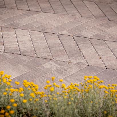 <p>Betontegels zijn uitermate geschikt voor het aanleggen van uw terras of voor een uniek design in uw tuin met looppaden. Zo zijn onze betontegels ook goed te combineren met andere tuintegels. Door de vele mogelijkheden van betonsteen zijn er heel veel verschillende vormen en kleuren.</p>
