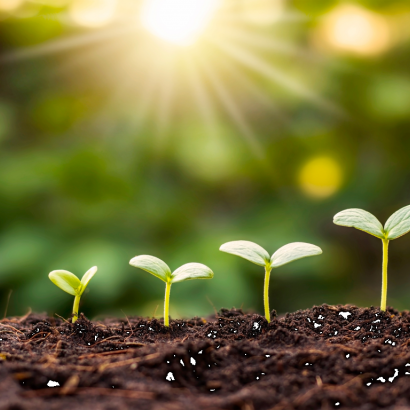 <p>Tuinaarde is de basis voor gezonde borders, perken en plantvakken. Bij KPS vind je bemeste tuinaarde van hoge kwaliteit, geschikt voor elk tuinproject. Verkrijgbaar in zakken of bigbags, zodat je precies de juiste hoeveelheid hebt voor jouw tuin.</p>
