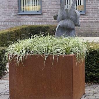 Bloembak vlak 120x120x60 cm - Corten