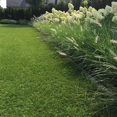 Royal Grass® Sense