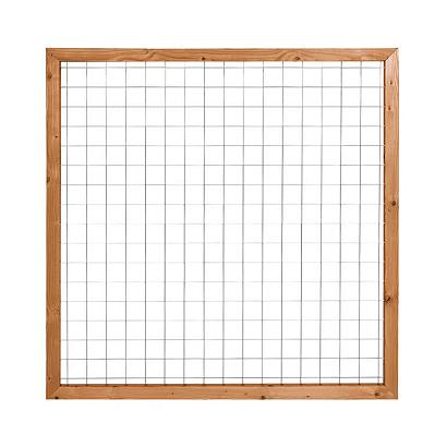 Douglas Draadscherm in Kader - 180x180