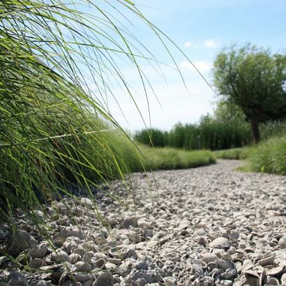 17 ltr. Schelpen 8-16mm