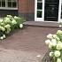 Gebakken UWF 60 Bolton bezand getrommeld