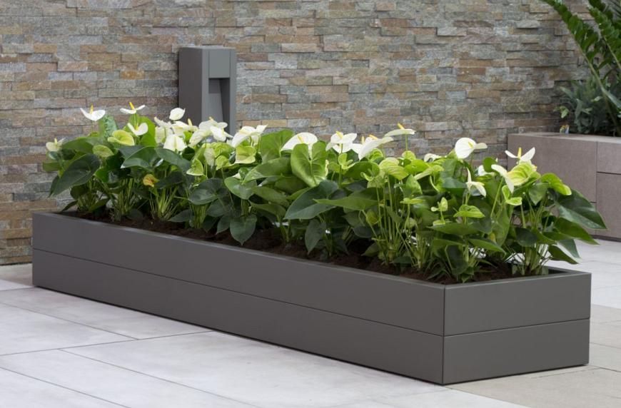 Plantenbak modulair